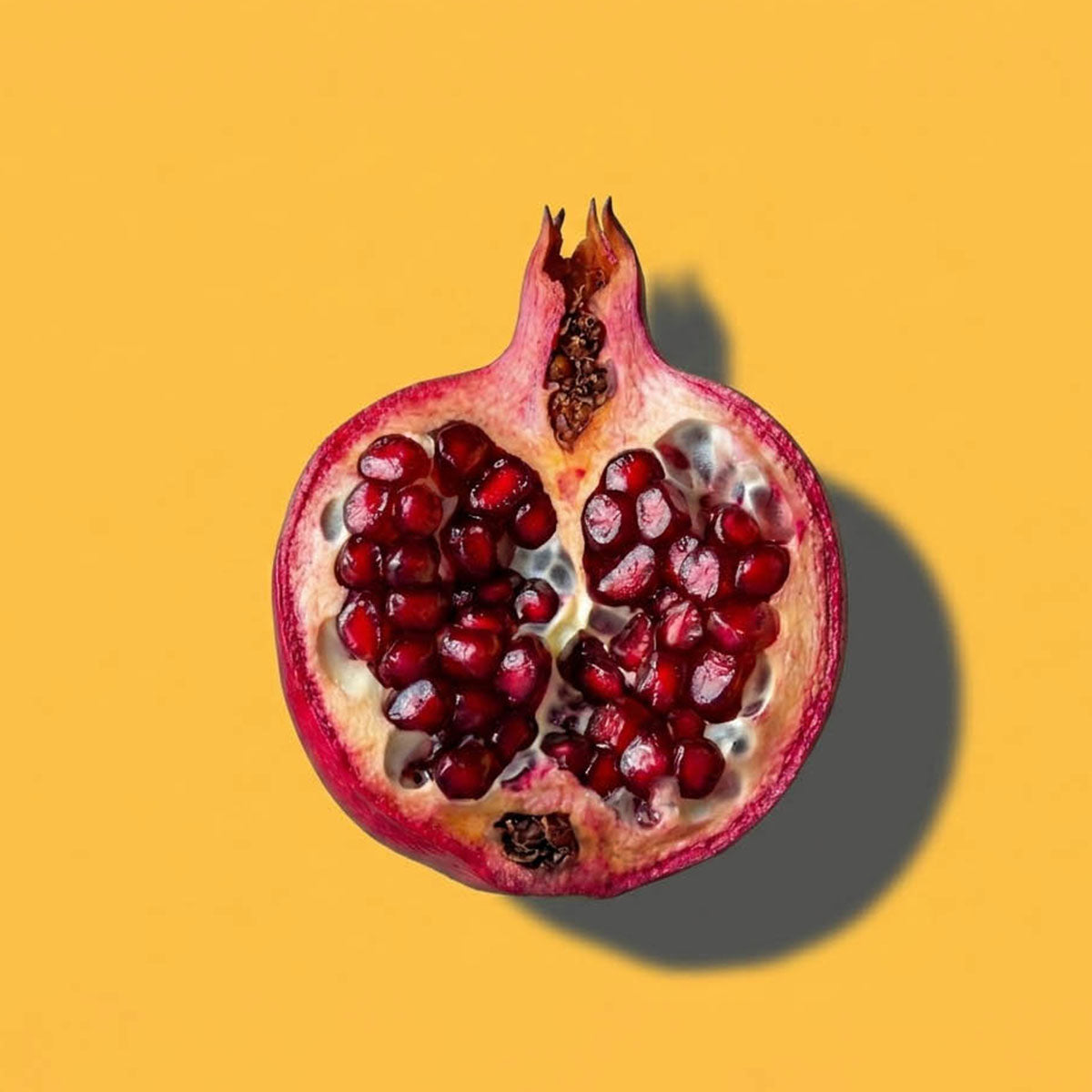 Para vulva